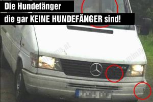 Die Männer im weißen Mercedes, mit dem Kennzeichen 7465 CGF, sind keine Hundefänger!