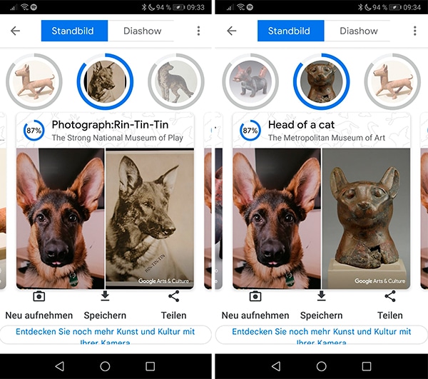 Screenshot Google Pet Portraits Ergebnisse