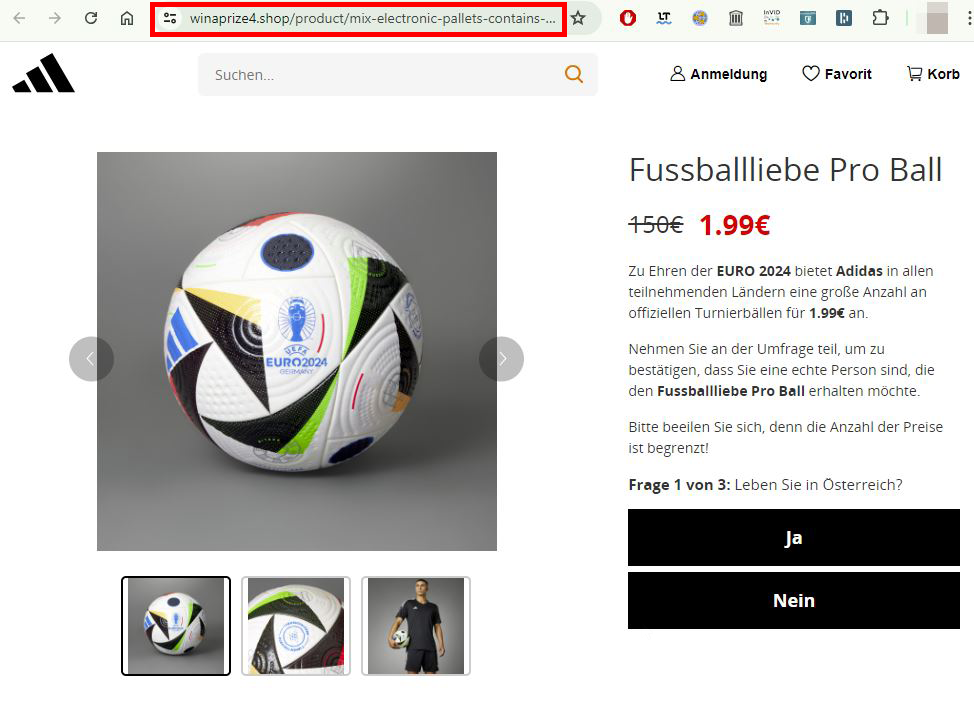 Screenshot der Fake-Webseite