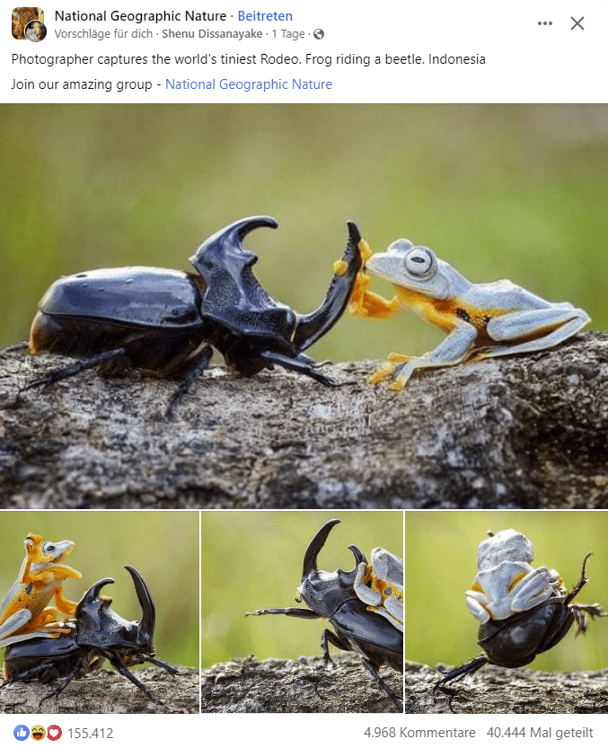 Screenshot Facebook-Gruppe "National Geographic Nature"